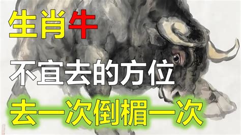 屬牛 戴 金 飾|哪些生肖不適合戴黃金？